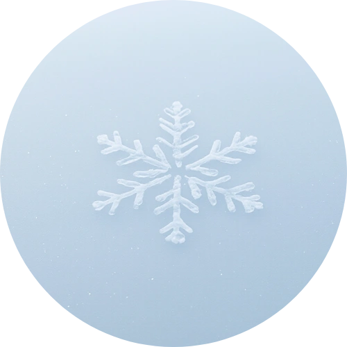 White snowflake design on a light blue circular background
